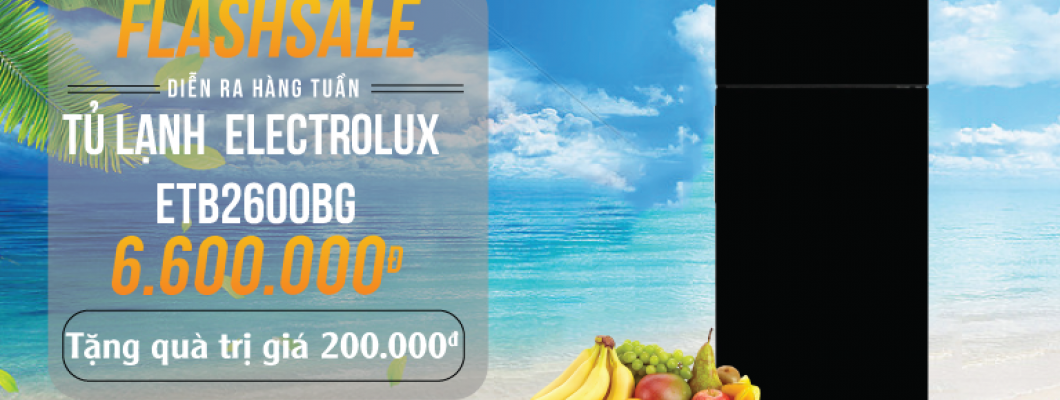 [FLASHSALE03082019] Tủ Lạnh Electrolux Inverter ETB2600BG